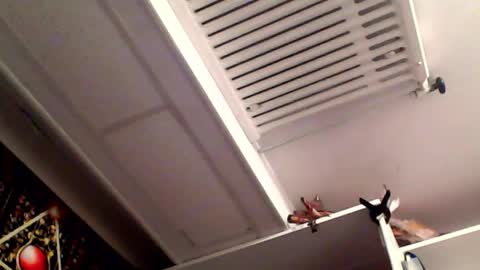 RICK DAYDREAM online show from March 16, 2026, 8:35 pm