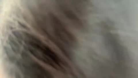 Snapshot of rickistegemann chatting on February 27, 2026, 2:22 am Ammy here its my first stream here online show from February 27, 2026, 2:22 am