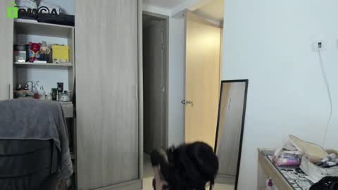 RickyDicot 13 online show from September 27, 2025, 2:05 am