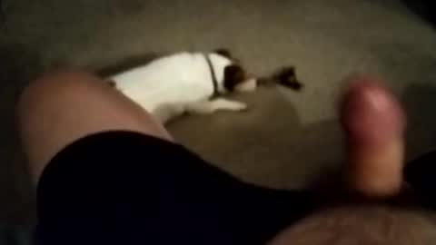 Snapshot of robbiebob6828 chatting on November 27, 2025, 6:04 am robbiebob6828 online show from November 27, 2025, 6:04 am