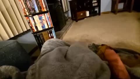 Snapshot of robbiebob6828 chatting on March 2, 2026, 4:14 am robbiebob6828 online show from March 2, 2026, 4:14 am