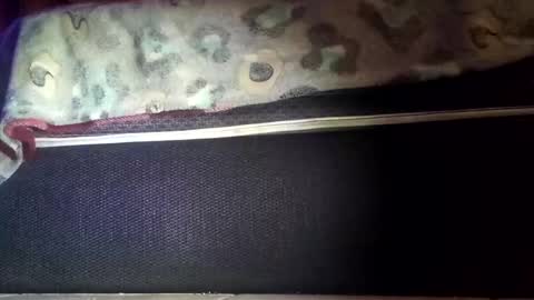 Snapshot of robert227818 chatting on November 8, 2025, 6:13 am robert227818 online show from November 8, 2025, 6:13 am