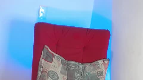 Stiven - online show from February 1, 2025, 10:13 pm