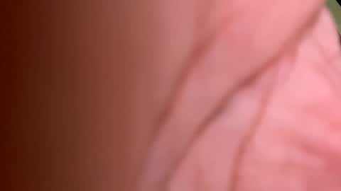 Snapshot of roberto925 chatting on January 10, 2025, 7:11 pm roberto925 online show from January 10, 2025, 7:11 pm