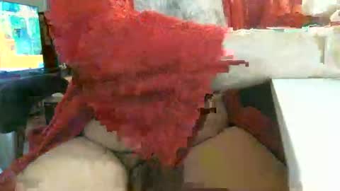 Rocco  aka DaddyRoc online show from February 12, 2026, 11:49 am