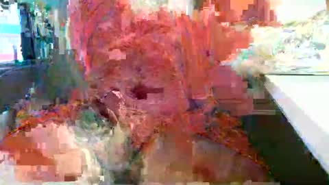 Rocco  aka DaddyRoc online show from February 18, 2026, 12:12 pm