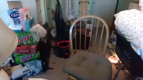 rocky082288 online show from January 9, 2025, 1:24 pm