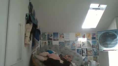 Snapshot of rodofra chatting on March 13, 2026, 11:06 am rodofra online show from March 13, 2026, 11:06 am