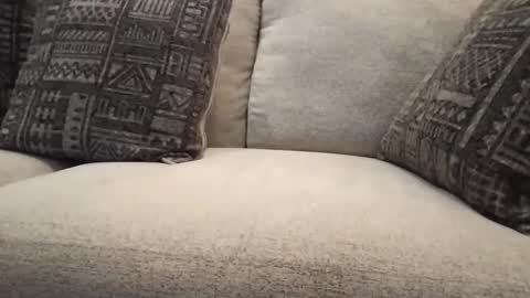 Snapshot of roger59267 chatting on October 31, 2025, 7:59 pm roger59267 online show from October 31, 2025, 7:59 pm