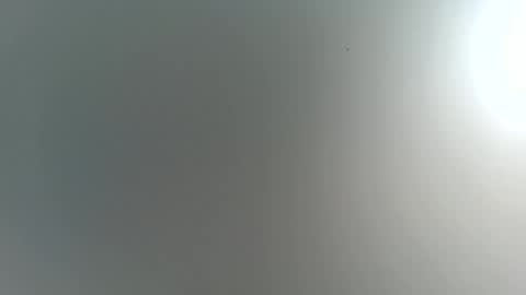 Trinked online show from November 22, 2025, 4:22 am