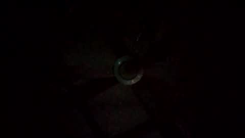 rompeculos121 online show from March 9, 2025, 11:47 am