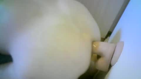 Snapshot of romson998181 chatting on November 1, 2025, 8:27 am romson998181 online show from November 1, 2025, 8:27 am