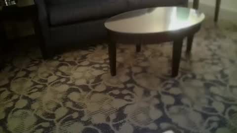 ronin098 online show from April 23, 2026, 12:29 pm