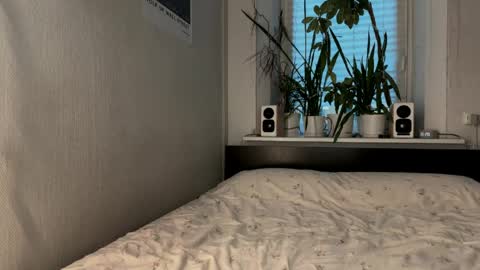 Roxie online show from April 27, 2026, 2:20 am