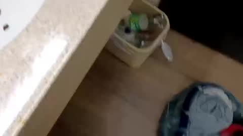 Snapshot of rozayfun chatting on November 21, 2025, 9:57 pm rozayfun online show from November 21, 2025, 9:57 pm