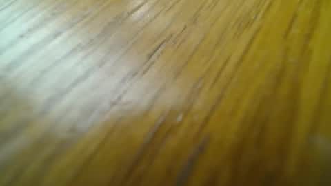 rustic69 online show from February 24, 2025, 6:58 pm