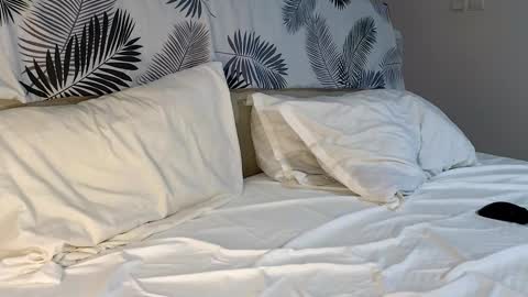 ryanstorm1 online show from February 7, 2026, 4:54 pm