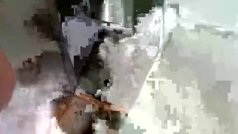 ryucravenmore online show from October 14, 2025, 3:35 pm