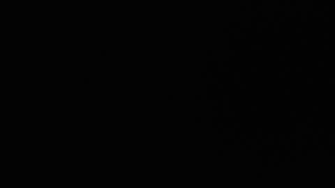 Ryushi009 online show from January 24, 2025, 3:32 am