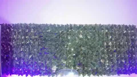 Sabina Merchetti online show from March 17, 2026, 12:26 am