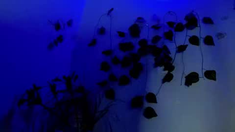 SABRI online show from April 1, 2026, 2:23 am