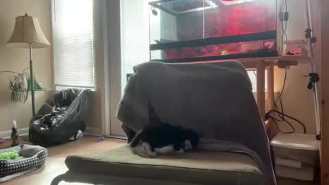 Snapshot of sabrosocockcarnesandwich chatting on October 5, 2025, 2:59 pm sabrosocockcarnesandwich online show from October 5, 2025, 2:59 pm