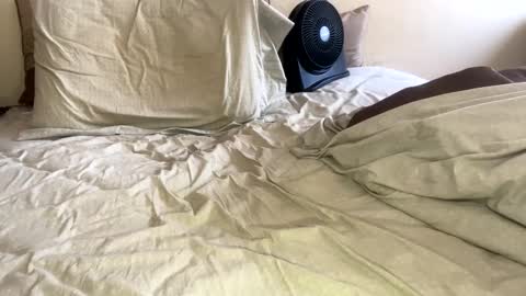 Snapshot of sackskincreamer chatting on January 26, 2025, 9:18 pm R online show from January 26, 2025, 9:18 pm