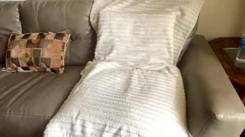 Snapshot of sackskincreamer chatting on February 22, 2025, 7:36 pm R online show from February 22, 2025, 7:36 pm