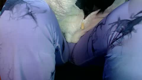 Karina online show from March 31, 2026, 12:34 am