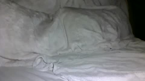 Snapshot of saintd17 chatting on February 5, 2025, 1:44 pm SD17 online show from February 5, 2025, 1:44 pm