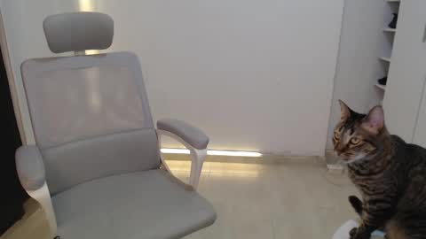 Salome online show from October 19, 2025, 3:34 pm