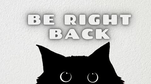 Salome online show from February 15, 2026, 3:47 am