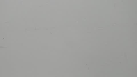 SALVATORE online show from February 5, 2025, 11:23 am