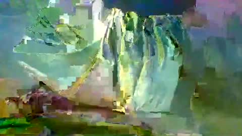 sam223382879 online show from December 27, 2024, 10:59 pm