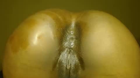 manth online show from November 14, 2025, 7:12 pm