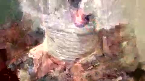 Snapshot of samboiamtho chatting on November 1, 2025, 1:07 am samboiamtho online show from November 1, 2025, 1:07 am