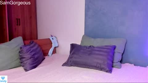 Snapshot of samgorgeous chatting on January 12, 2025, 11:50 am Fansly - Top4fans online show from January 12, 2025, 11:50 am