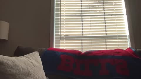 Snapshot of sammieplays chatting on January 18, 2026, 3:49 pm Playful Sammie online show from January 18, 2026, 3:49 pm