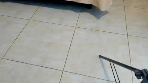 Snapshot of sammybrunette1 chatting on November 2, 2025, 12:29 pm Axel online show from November 2, 2025, 12:29 pm