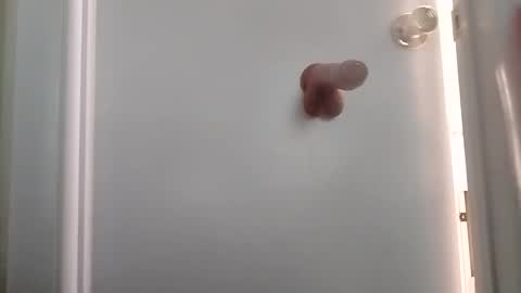 Snapshot of sanchezabsurdo chatting on October 6, 2025, 8:50 pm sanchezabsurdo online show from October 6, 2025, 8:50 pm