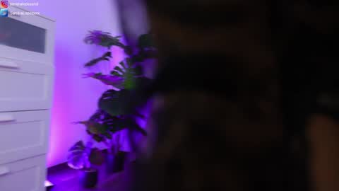 Sandra online show from January 23, 2025, 8:45 pm