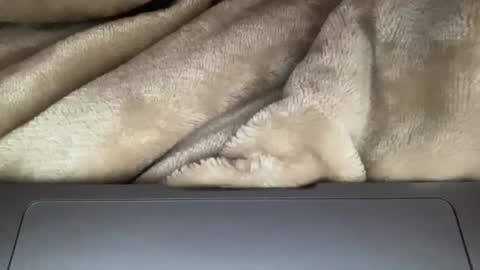 sandrasexy2000 online show from November 28, 2025, 8:11 pm