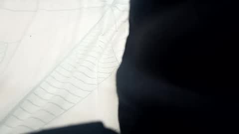 Snapshot of santhoshlees chatting on February 13, 2025, 11:06 am Harder online show from February 13, 2025, 11:06 am