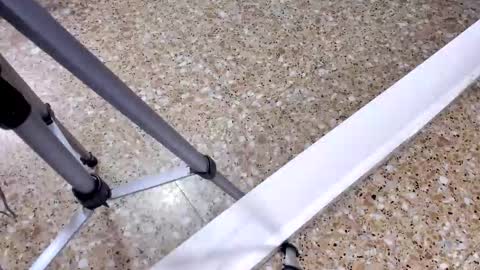 sara_salgado online show from February 12, 2026, 11:05 am