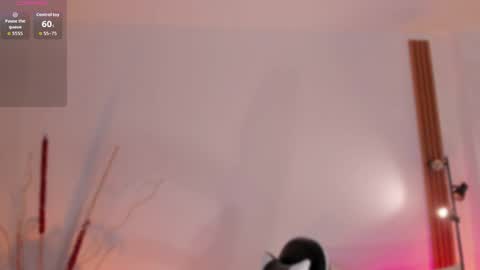 sara cavali online show from April 13, 2026, 3:06 pm