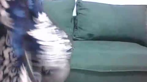 Snapshot of sarah_haggai chatting on November 4, 2025, 4:11 am sarah_haggai online show from November 4, 2025, 4:11 am