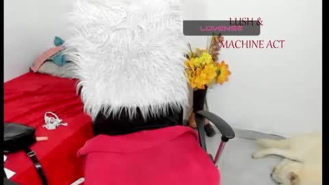 Snapshot of sarah_sweett chatting on May 15, 2026, 5:42 pm Sarah online show from May 15, 2026, 5:42 pm