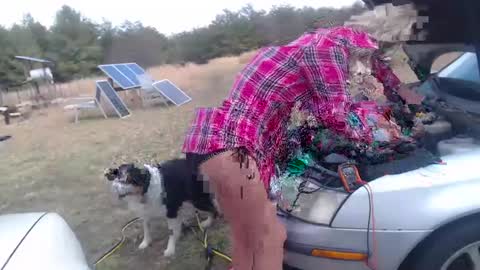 CdSissySarah online show from February 5, 2025, 7:31 pm