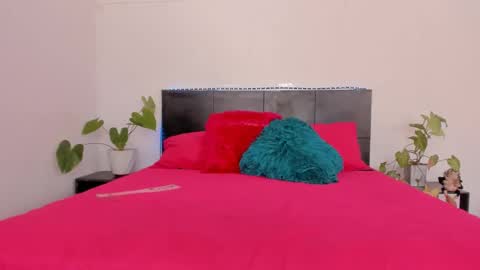 Girl next door online show from January 18, 2025, 8:51 pm