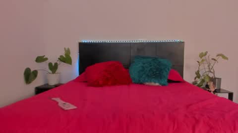 Girl next door online show from January 21, 2025, 9:25 pm